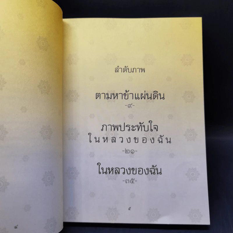 ในหลวงของฉัน รูปที่ 8