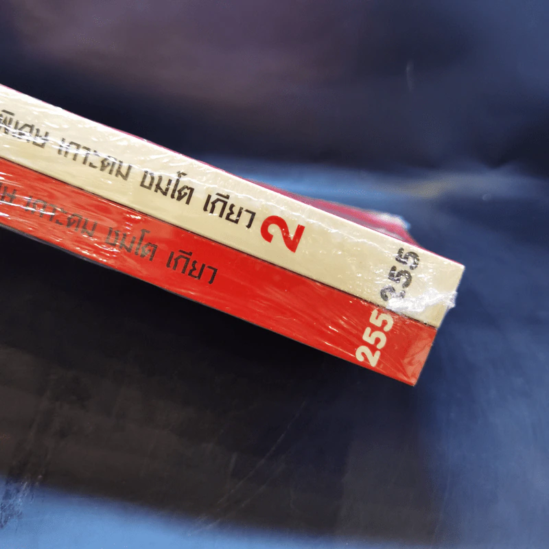 ฮิกาซีน ฉบับพิเศษ เกาะดม ชมโตเกียว เล่ม 2 - อุดม แต้พานิช รูปที่ 10