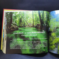 ใต้...หรอยมีลุย - 40 ปี ธนาคารแห่งประเทศไทย สำนักงานภาคใต้ รูปที่ 13