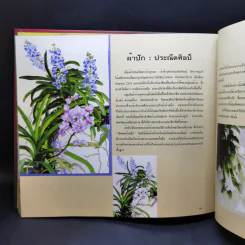 ใต้...หรอยมีลุย - 40 ปี ธนาคารแห่งประเทศไทย สำนักงานภาคใต้ รูปที่ 16