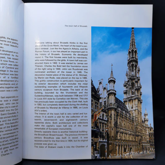 The Whole of Brussels and Its Surroundings รูปที่ 10