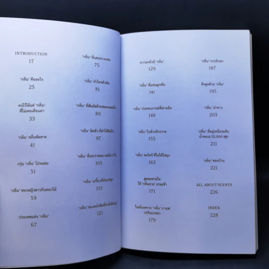 Nose Note บันทึกเรื่องกลิ่นจากปลายจมูก ฝนตกข้างบ้าน ถึงจักรวาลอันไกลโพ้น - กันต์นที นีระพล รูปที่ 9