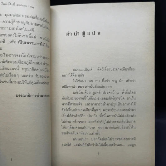 วินน์-ดิ๊กซี่ สุนัขร้านชำ ทำเหตุ - เคท ดิคามิลโล รูปที่ 9