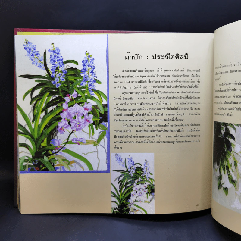 ใต้...หรอยมีลุย - 40 ปี ธนาคารแห่งประเทศไทย สำนักงานภาคใต้ รูปที่ 16