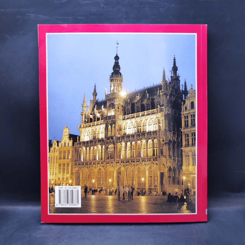 The Whole of Brussels and Its Surroundings รูปที่ 2