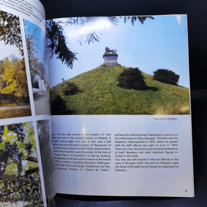 The Whole of Brussels and Its Surroundings รูปที่ 12