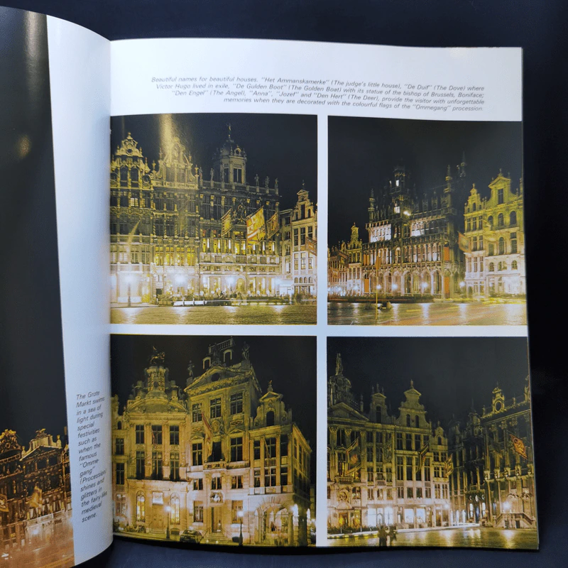 The Whole of Brussels and Its Surroundings รูปที่ 11