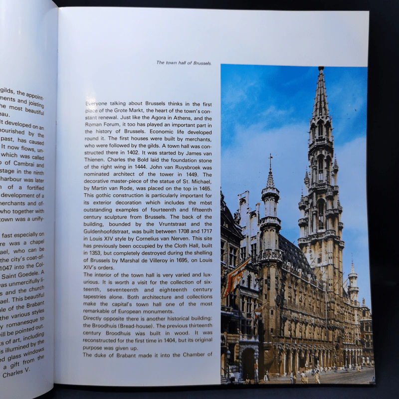 The Whole of Brussels and Its Surroundings รูปที่ 10