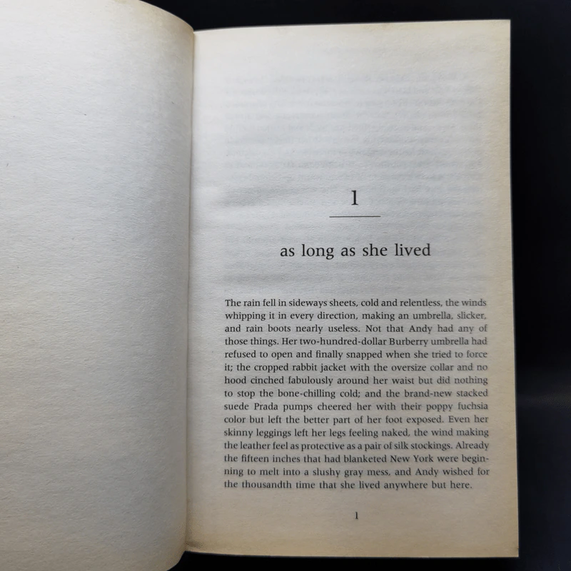 Revenge Wears Prada - Lauren Weisberger รูปที่ 10