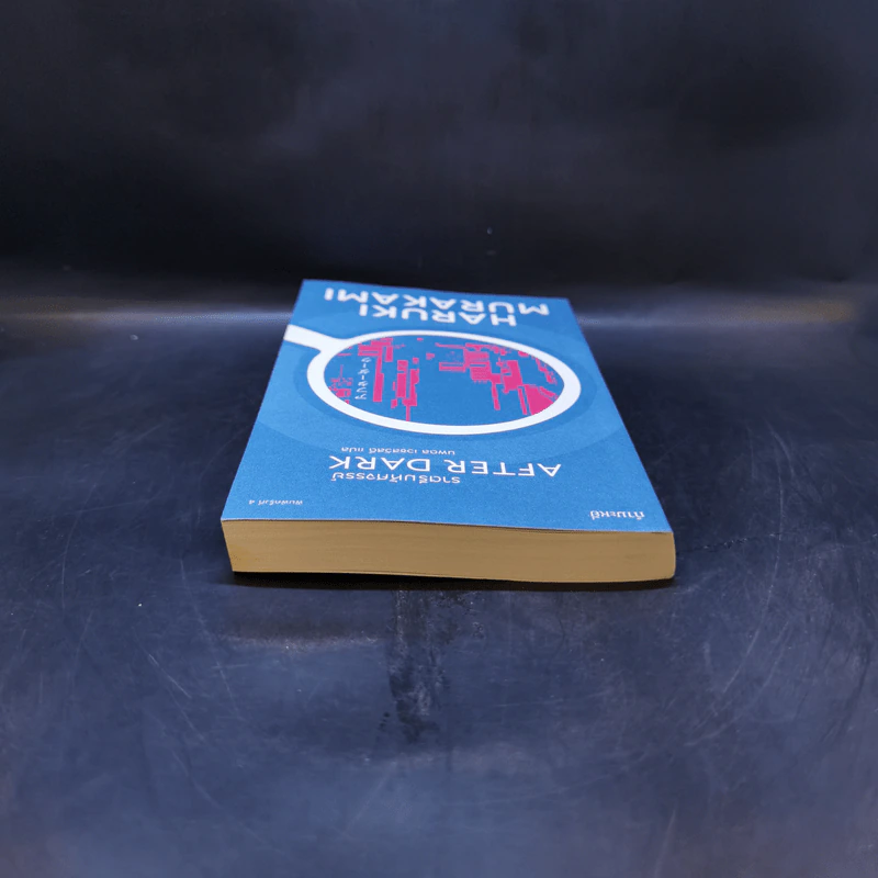 After Dark ราตรีมหัศจรรย์ - Haruki Murakami รูปที่ 6