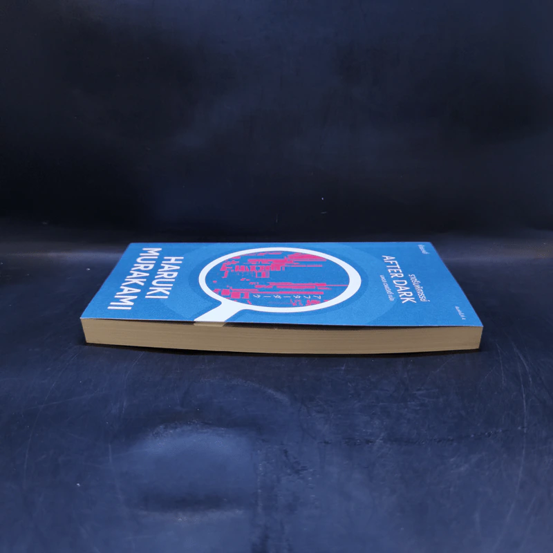 After Dark ราตรีมหัศจรรย์ - Haruki Murakami รูปที่ 5