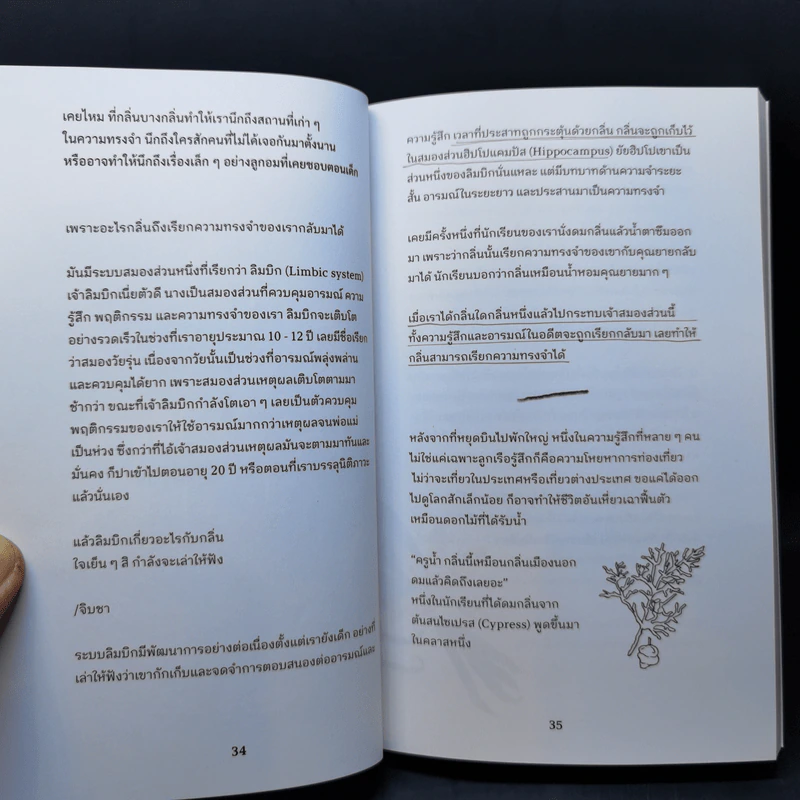 Nose Note บันทึกเรื่องกลิ่นจากปลายจมูก ฝนตกข้างบ้าน ถึงจักรวาลอันไกลโพ้น - กันต์นที นีระพล รูปที่ 12