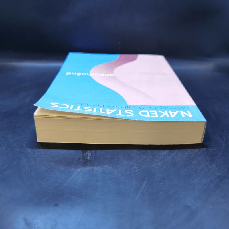 NAKED STATISTICS สถิติฉบับเซ็กซี่ - Charles Wheelan รูปที่ 6