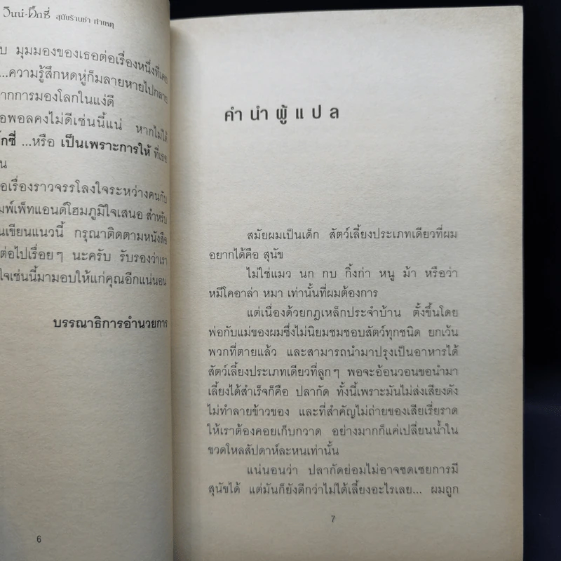 วินน์-ดิ๊กซี่ สุนัขร้านชำ ทำเหตุ - เคท ดิคามิลโล รูปที่ 9