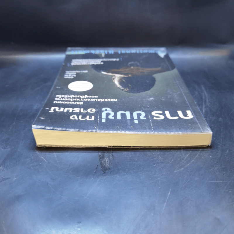 การข่มขู่ทางอารมณ์ - Zhou Mu-Zi (โจว มู่ จือ) รูปที่ 6