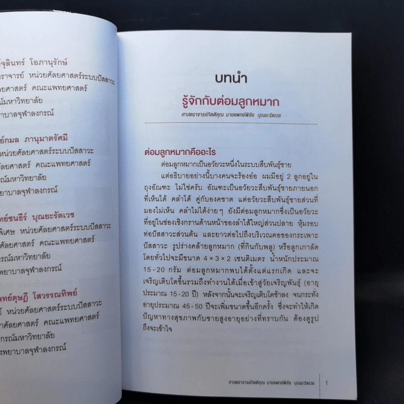 ต่อมลูกหมาก คู่มือซ่อมบำรุงต่อมลูกหมากที่ผู้ชายทุกคนต้องรู้ รูปที่ 14