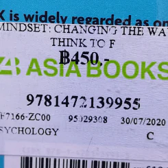 Mindset - Dr Carol S. Dweck รูปที่ 13