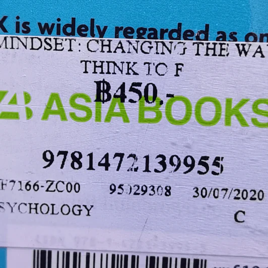 Mindset - Dr Carol S. Dweck รูปที่ 13