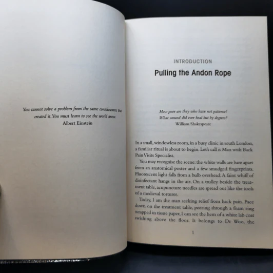 The Slow Fix - Carl Honore รูปที่ 10