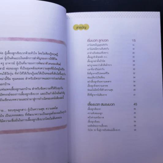 เลี้ยงบวกลูกบวก - พญ.จิราภรณ์ อรุณากูร รูปที่ 10