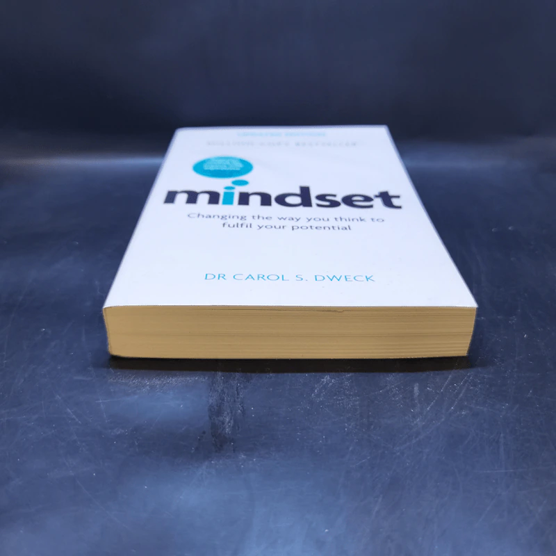 Mindset - Dr Carol S. Dweck รูปที่ 4