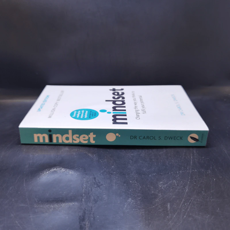 Mindset - Dr Carol S. Dweck รูปที่ 3