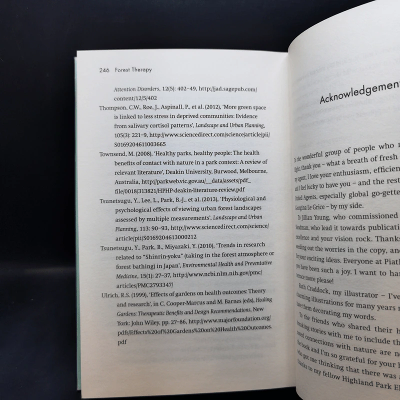 Forest Therapy - Sarah Ivens รูปที่ 13