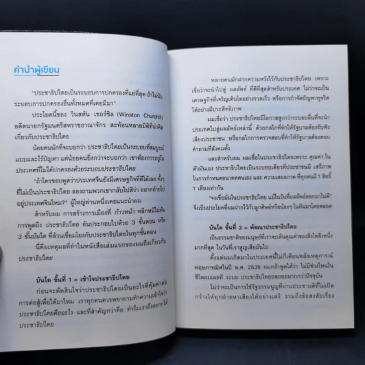 Why So Democracy ประชาธิปไตยมีดีอะไร? - พริษฐ์ วัชรสินธุ รูปที่ 8