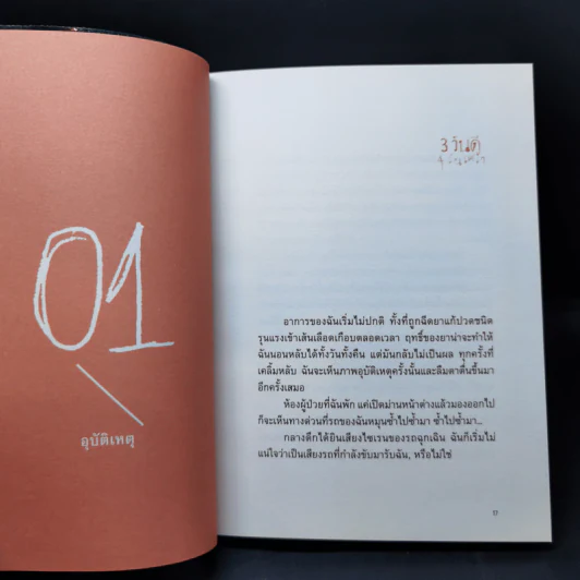 3 วันดี 4 วันเศร้า - ทราย อินทิรา เจริญปุระ รูปที่ 8