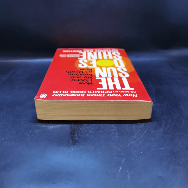The Sun Does Shine - Anthony Ray Hinton, Lara Love Hardin รูปที่ 6