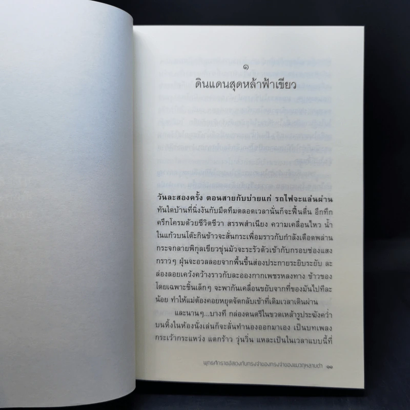 พุทธศักราชอัสดงกับทรงจำของทรงจำของแมวกุหลาบดำ - วีรพร นิติประภา รูปที่ 11