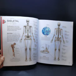 Science of Yoga - Ann Swanson รูปที่ 12