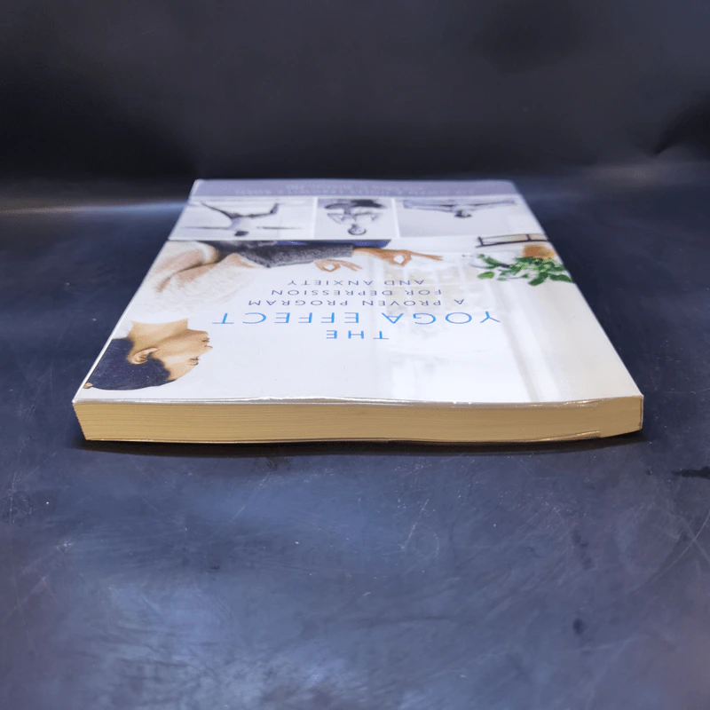 The Yoga Effect - Liz Owen, Holly Lebowitz Rossi รูปที่ 6