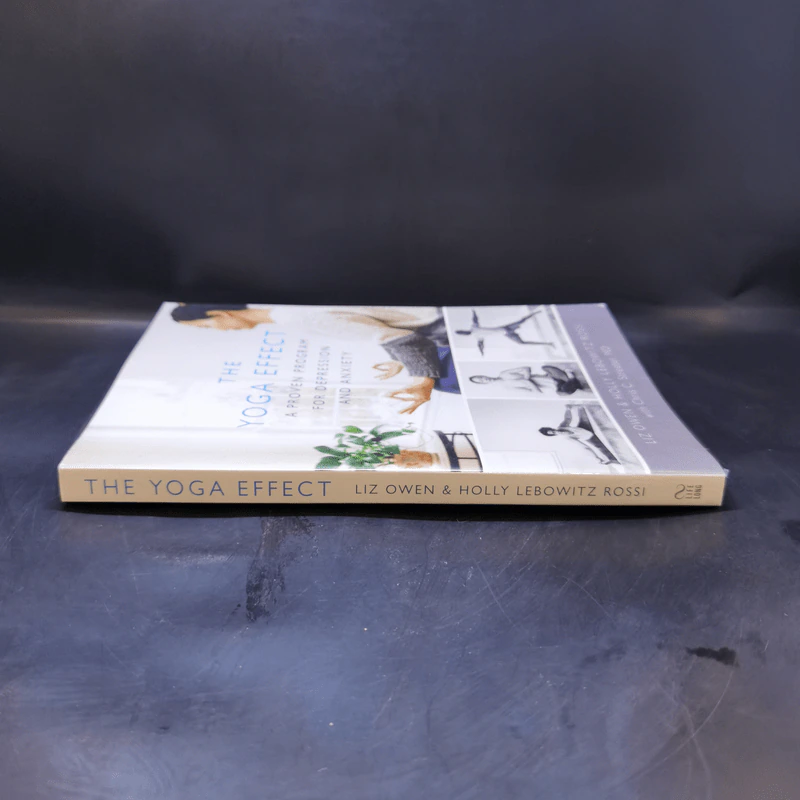 The Yoga Effect - Liz Owen, Holly Lebowitz Rossi รูปที่ 3