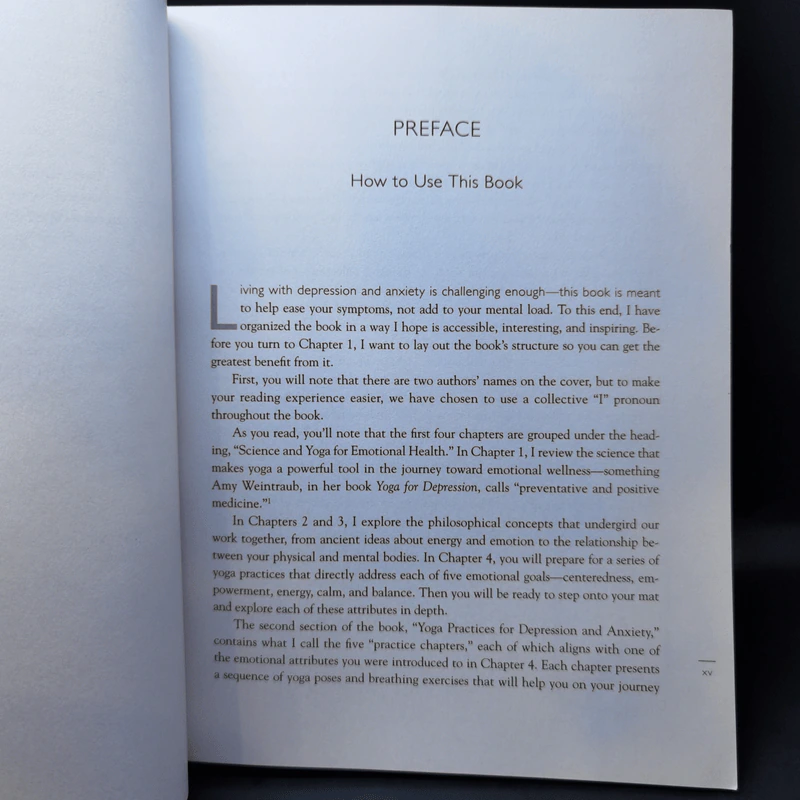 The Yoga Effect - Liz Owen, Holly Lebowitz Rossi รูปที่ 13