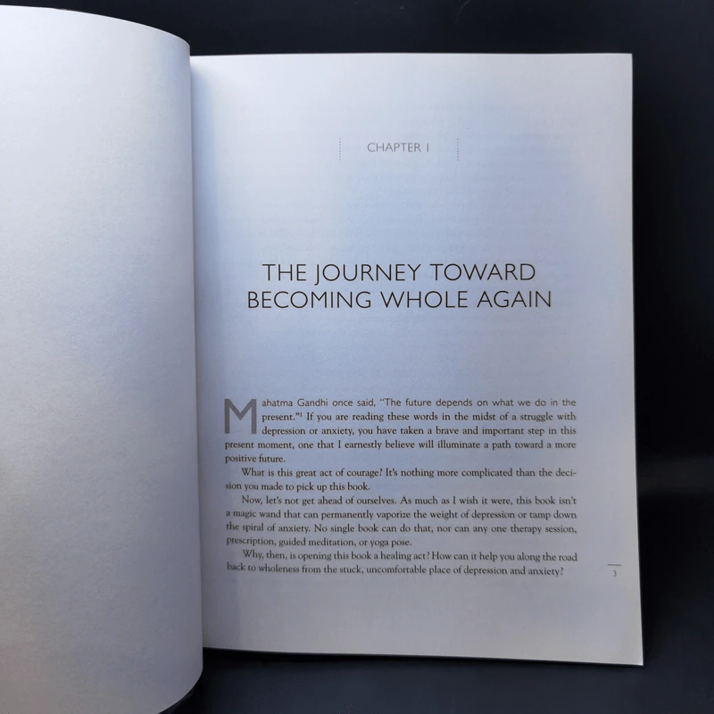 The Yoga Effect - Liz Owen, Holly Lebowitz Rossi รูปที่ 14