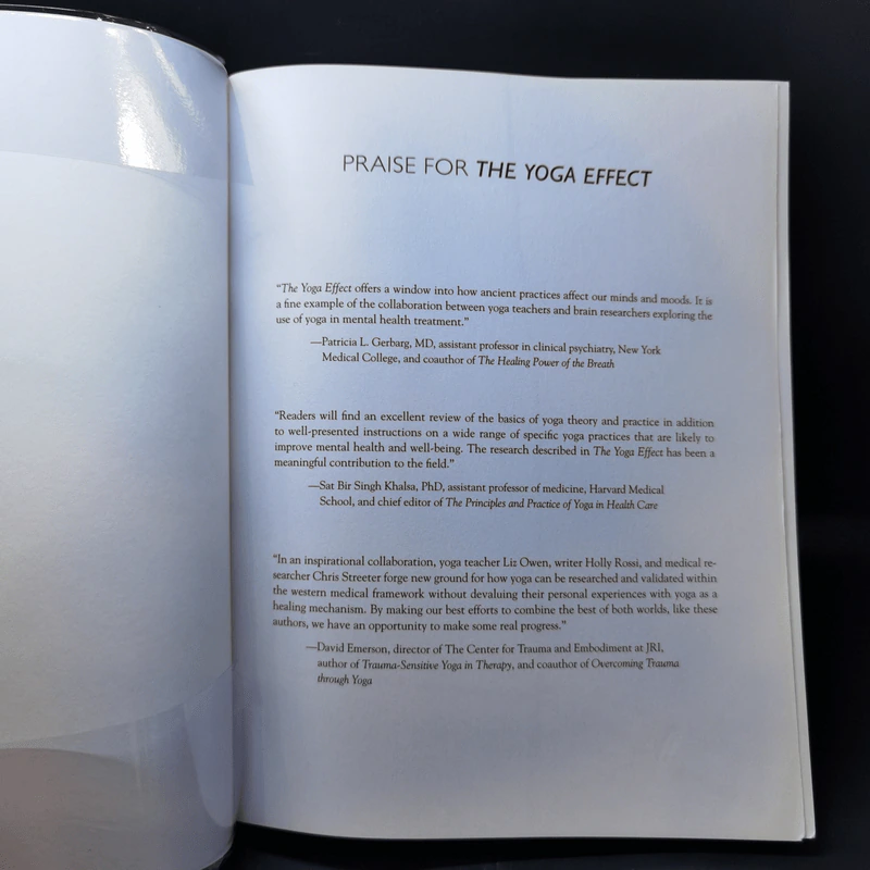 The Yoga Effect - Liz Owen, Holly Lebowitz Rossi รูปที่ 8