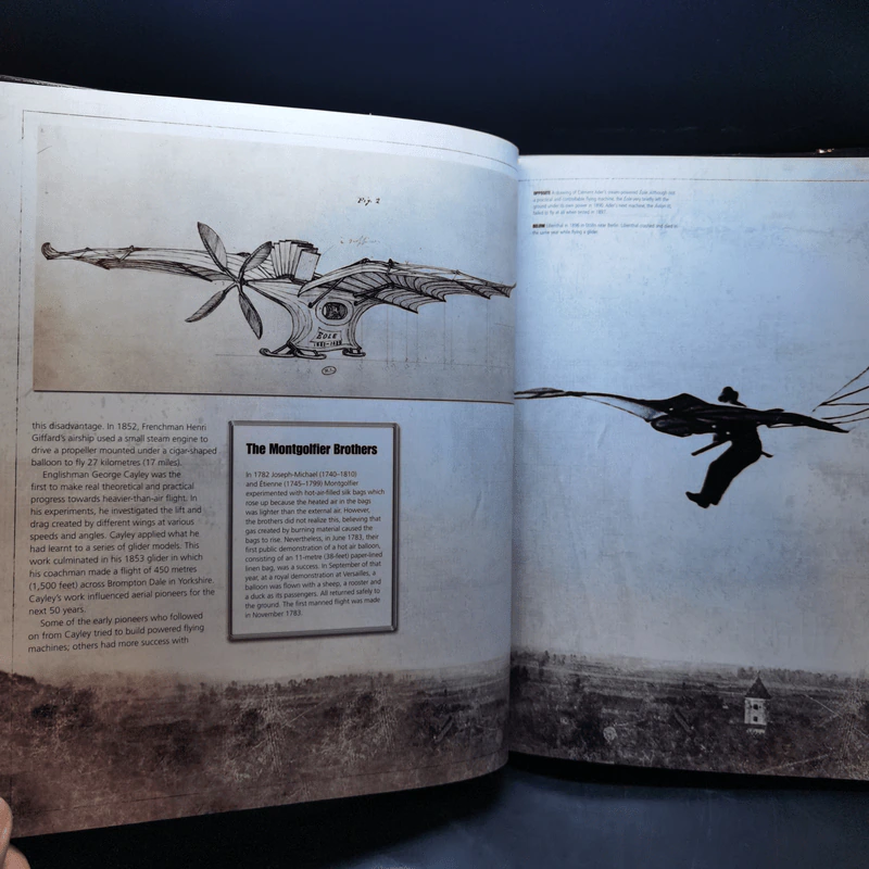 Flight - Stephen Woolford & Carl Warner รูปที่ 12