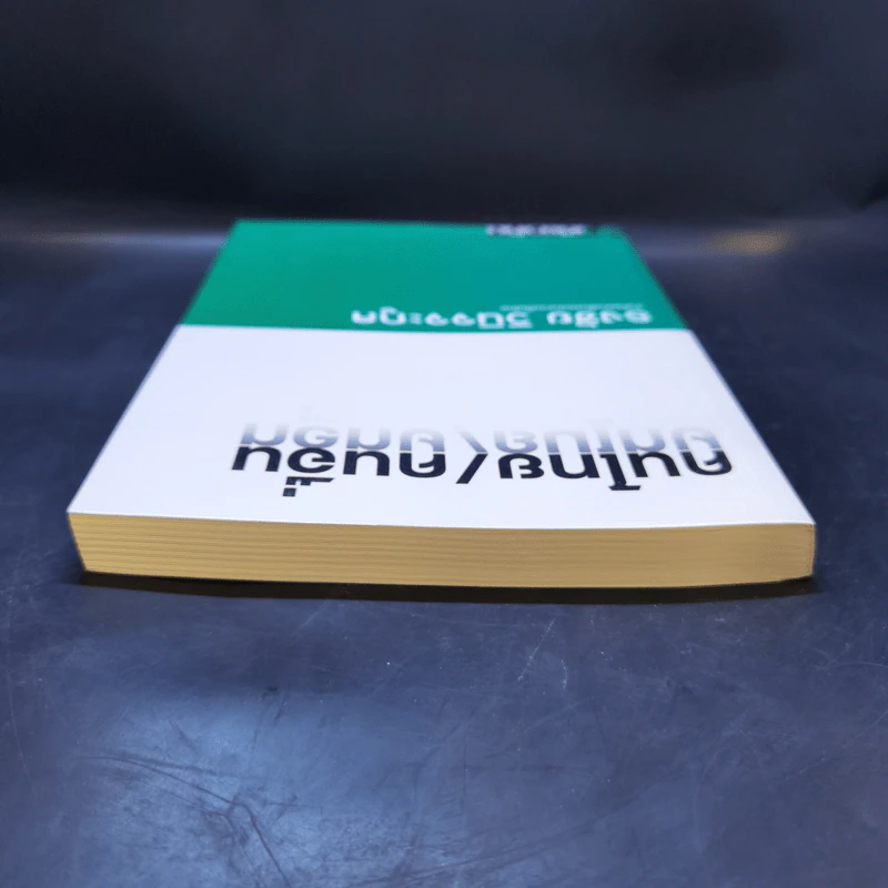 คนไทย/คนอื่น - ธงชัย วินิจจะกูล รูปที่ 6