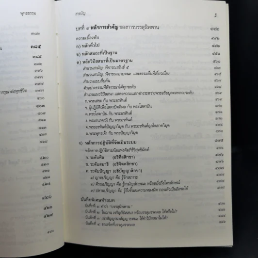 พุทธธรรม ฉบับปรับขยาย พระพรหมคุณาภรณ์ (ป.อ.ปยุตโต) รูปที่ 20