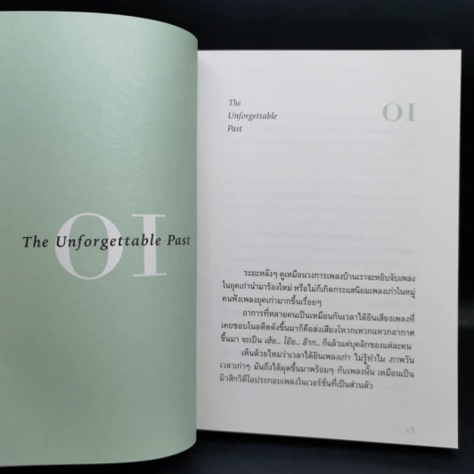 From Time to Time - วิไลรัตน์ เอมเอี่ยม รูปที่ 8