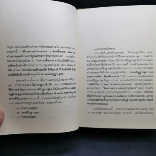จิตตภาวนา ตามรอยพระพุทธองค์ - ศรีศากยอโศก รูปที่ 10