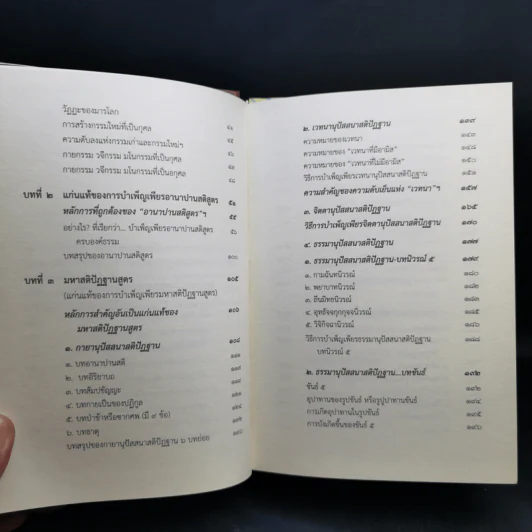 จิตตภาวนา ตามรอยพระพุทธองค์ - ศรีศากยอโศก รูปที่ 12