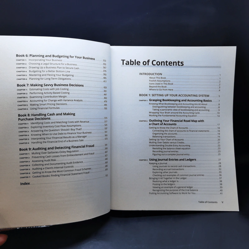 Accounting All-in-One For Dummies รูปที่ 10