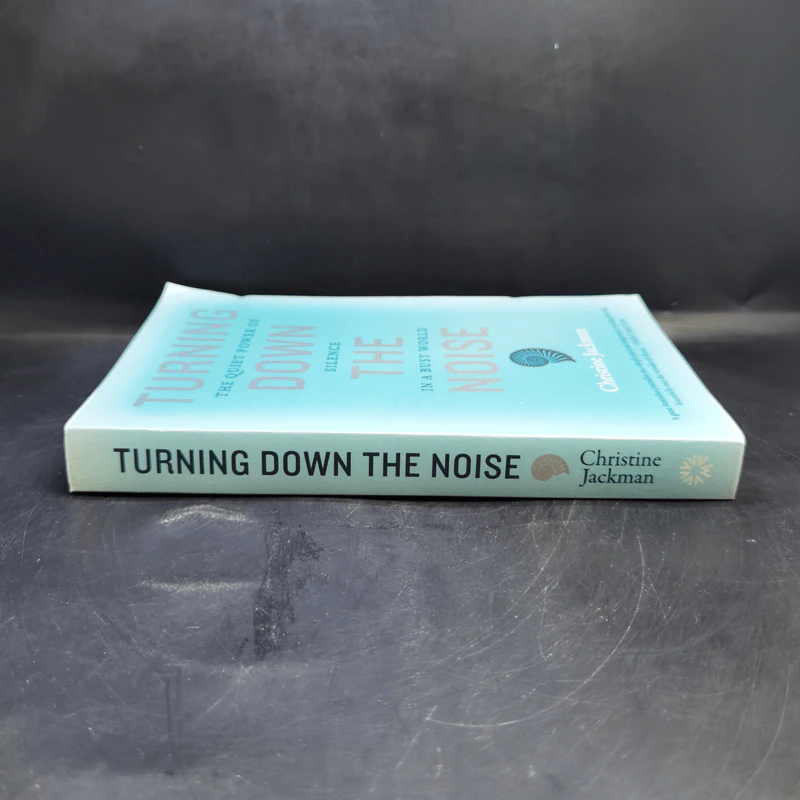 Turning Down The Noise - Christine Jackman รูปที่ 3