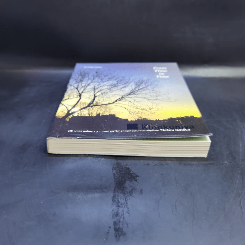 From Time to Time - วิไลรัตน์ เอมเอี่ยม รูปที่ 4