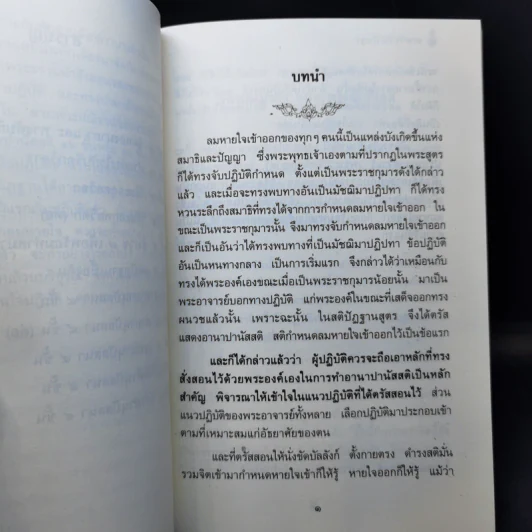 หายใจให้เป็นสุข - สมเด็จพระญาณสังวร สมเด็จพระสังฆราช สกลมหาสังฆปริณายก รูปที่ 11