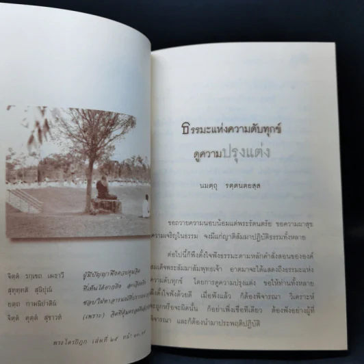 ธรรมะแห่งความดับทุกข์ ดูความปรุงแต่ง - เขมรังสี ภิกขุ รูปที่ 11