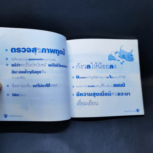 Lucky to be โชคดีที่เกิดเป็นหมา - Dogaholic รูปที่ 11