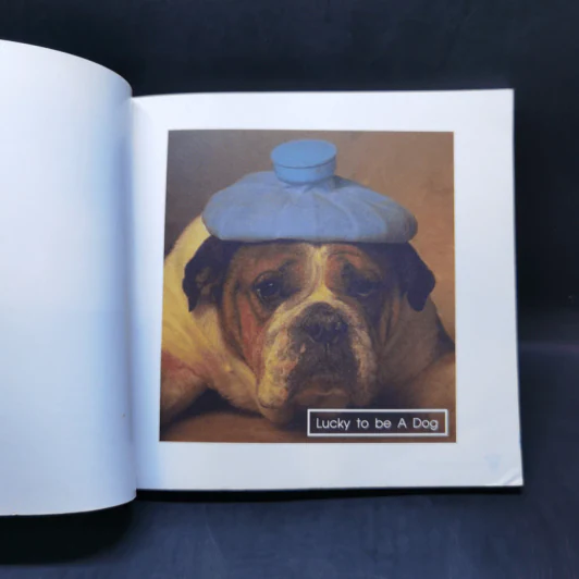 Lucky to be โชคดีที่เกิดเป็นหมา - Dogaholic รูปที่ 8